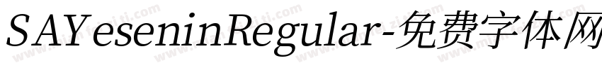 SA Yesenin Regular字体转换